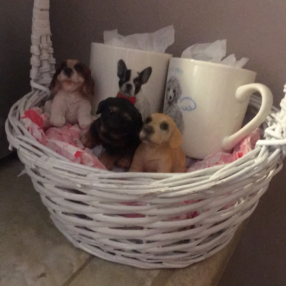 Meet your Posher, Yessica